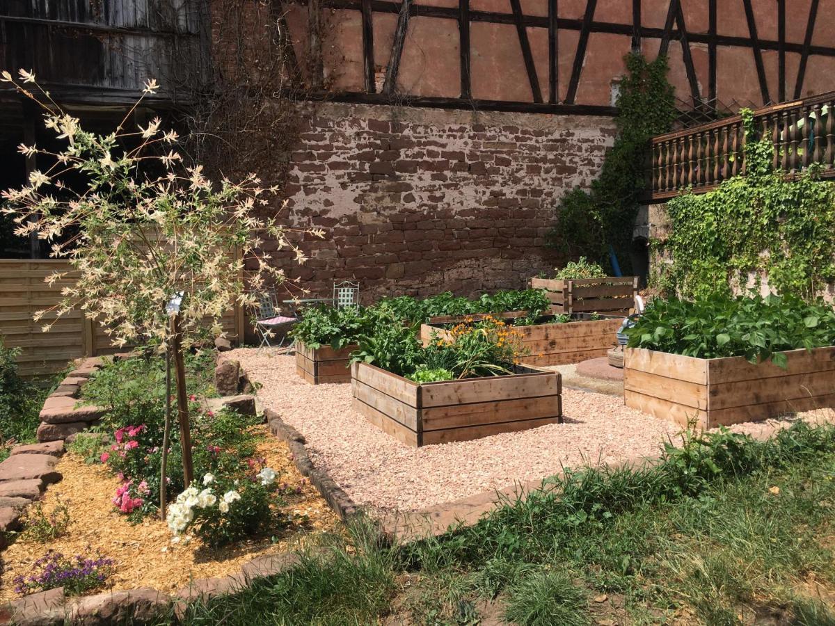 Au Relais De L'Histoire Gite Classe 4 Etoiles Oberbronn Zewnętrze zdjęcie